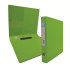 L125 25mm 2D Glue Ring File A4 - Fancy Green