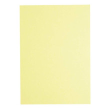 Light Colour A4 80gsm Paper - Ivory