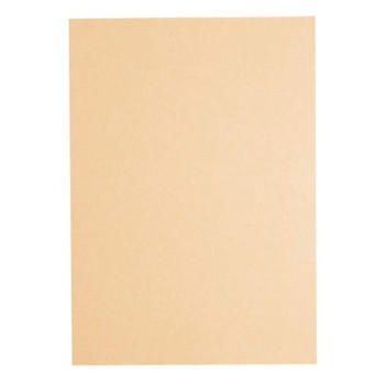 Light Colour A4 80gsm Paper - Peach