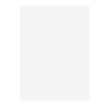 Light Colour A4 80gsm Paper - White