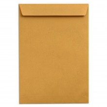 Brown Envelope ( 9" X 12" ) - 250'S