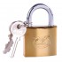 50mm Lemen Electroplated Iron Padlock With Brass Cylinder