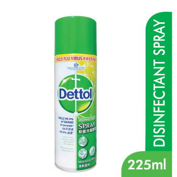 Dettol Morning Dew Spray Cleaner 225ml