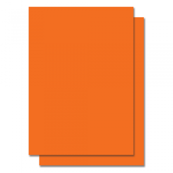 Fluorescent Color Label Sticker - A4 size - 100 sheets - Orange (Item No: C01-05 ORG)