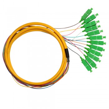 Single Mode SC/ APC 12 Core Pigtail 1.5 meter Fiber Cable (S224)
