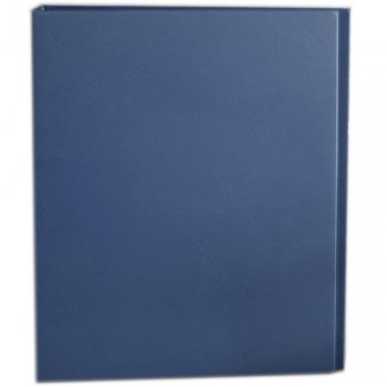 CBE 2D629 2-D 40MM PVC Ring File (A4) Blue