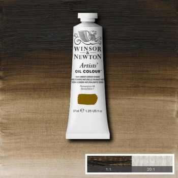 W&N Artists Oil Colour 37ml 558 Raw Umber (Green Shade) S1