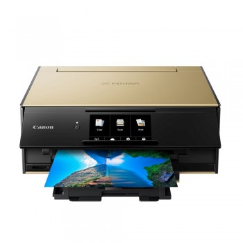Canon TS9170 Gold All-In-One Inkjet Printer (Print, Scan, Copy)