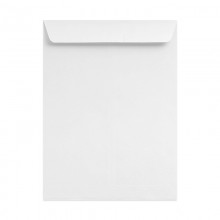 White Envelope 10" X 12" 100GSM-250'S