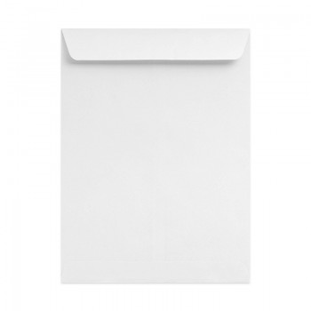 White Envelope 10" X 12" 100GSM-250'S