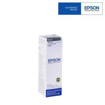 Epson L800 Black Ink (T6731)