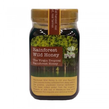 Oasis Wellness Rainforest Wild Honey 500g