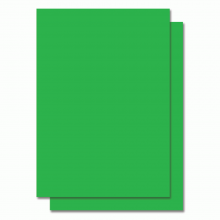 Fluorescent Color Label Sticker - A4 size - 100 sheets - Green (Item No: C01-05 GR)