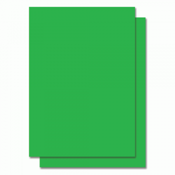 Fluorescent Color Label Sticker - A4 size - 100 sheets - Green (Item No: C01-05 GR)